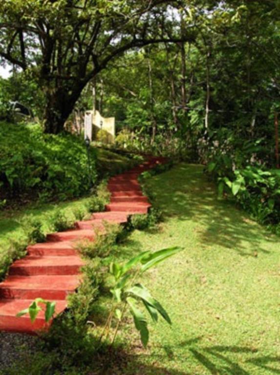 Amatierra Retreat And Wellness Center Hotel Bolson Exterior foto