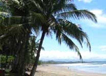 Amatierra Retreat And Wellness Center Hotel Bolson Exterior foto